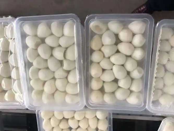 整線解決方案，優(yōu)化生產(chǎn)流程：鵪鶉蛋包裝神器來襲